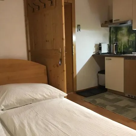 Ferienwohnungen Aigner Haus im Ennstal Buitenkant foto