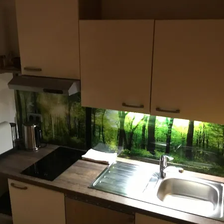 Ferienwohnungen Aigner Haus im Ennstal Buitenkant foto