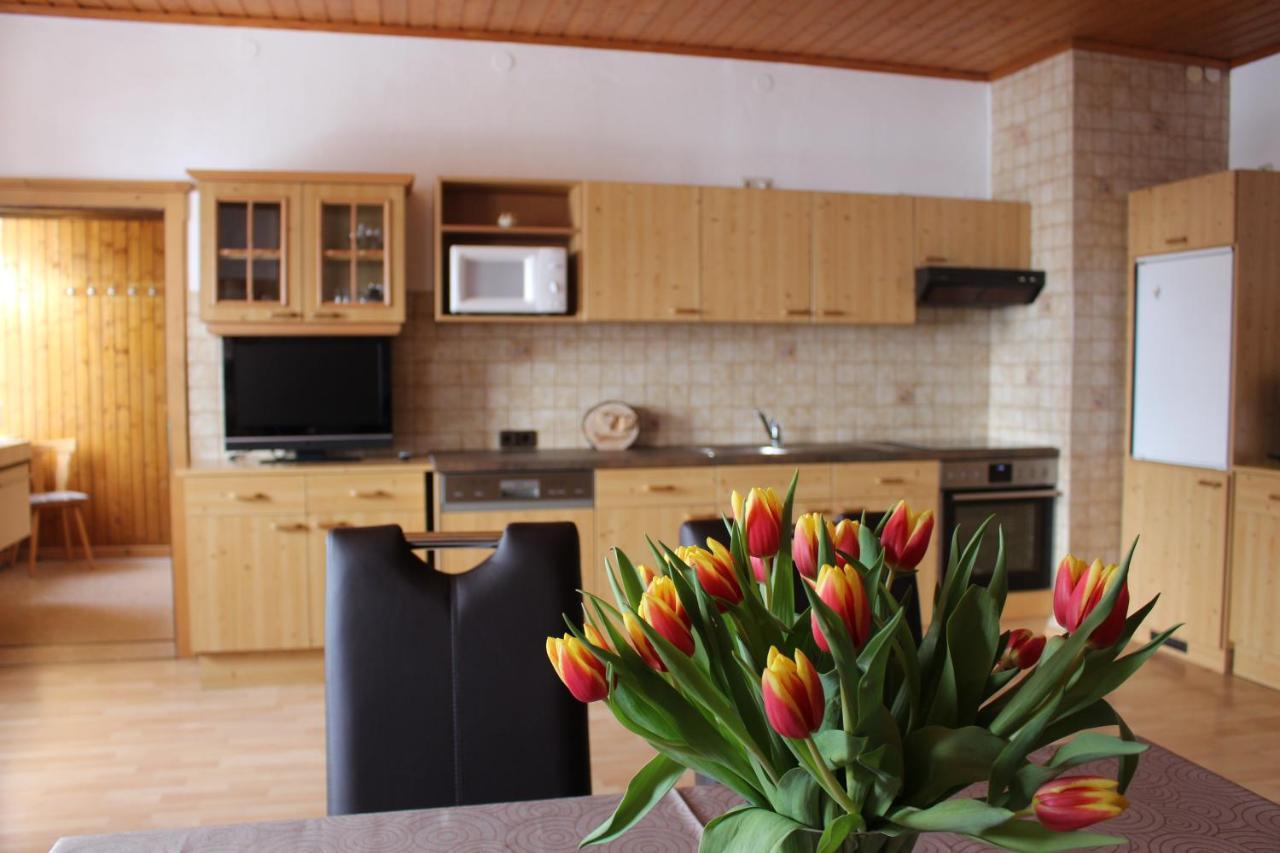 Aigner Apartment Haus im Ennstal